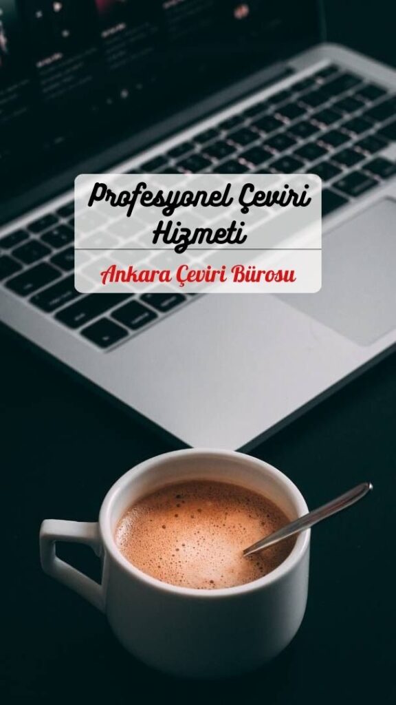 Profesyonel Çeviri Hizmeti